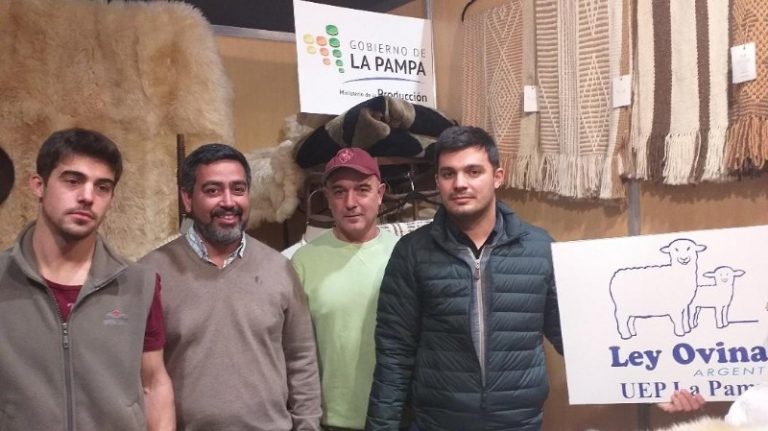 Rural 2019: Raza pampeana obtuvo el Reservado Gran Campeón en ovinos