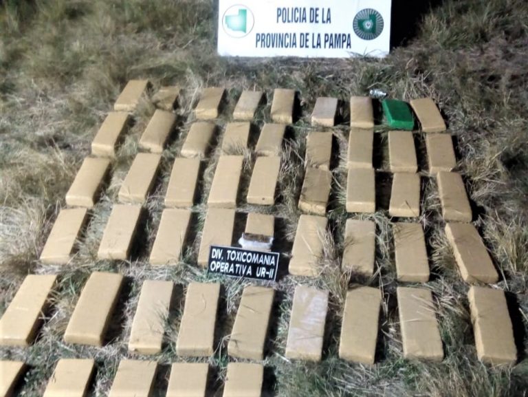 Policía secuestra 50 kilos de marihuana en cercanías de Arata