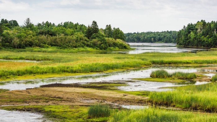Un nuevo Sitio Ramsar trae esperanzas
