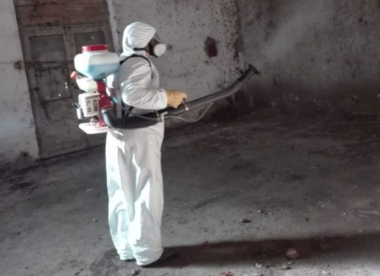 Murciélagos en Hilario Lagos: volvieron a desinfectar viejo edificio