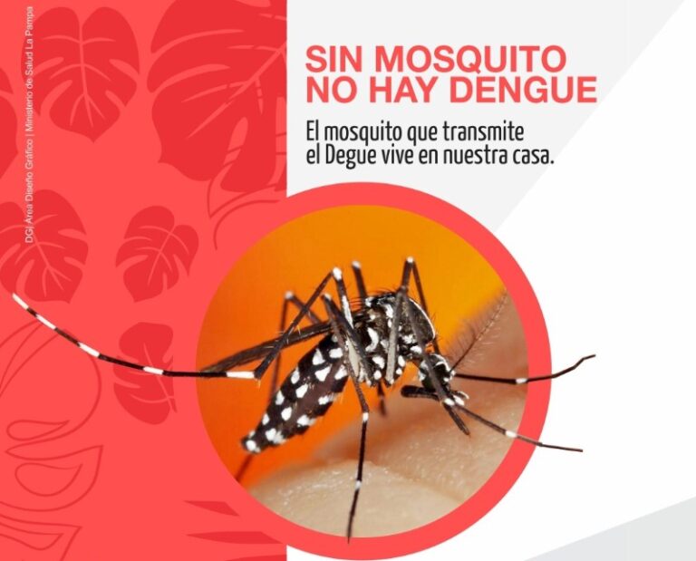 Salud actualizó el estado de situación del Dengue en La Pampa
