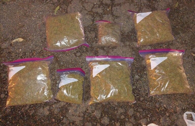 Desbaratan estructura de venta de drogas en Realicó