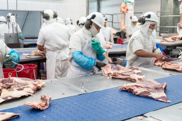 La crisis de producción frigorífica nacional impactó en las exportaciones pampeanas de carne